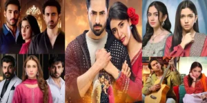 5 Best Pakistani Dramas 2025