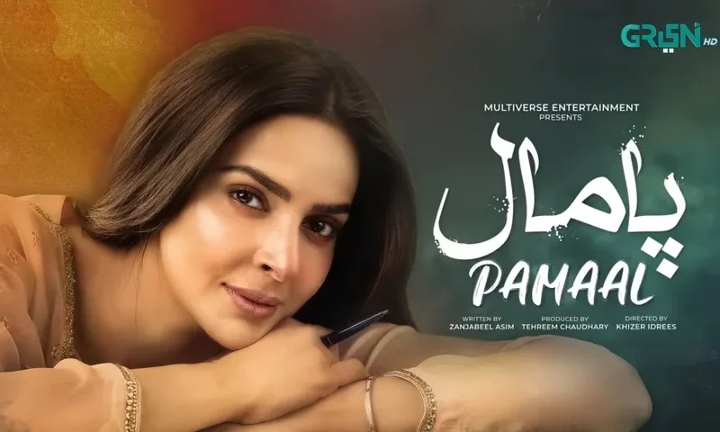 Pamaal Drama Cast and Everything You Need to Know