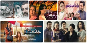 5 Pakistani Dramas Deserved Love