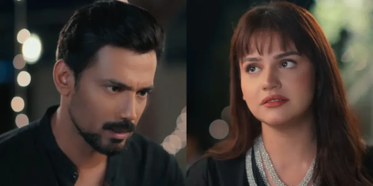 Dil Dhoondta Hai Phir Wohi Drama Cast and Everything You Need to Know