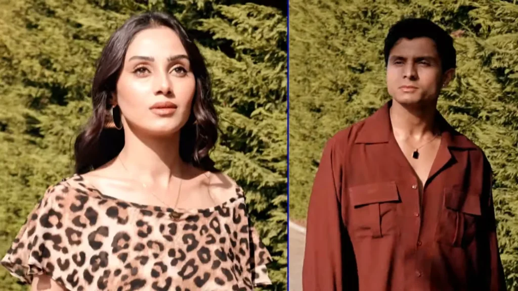 Lazawal Ishq Release and Streaming