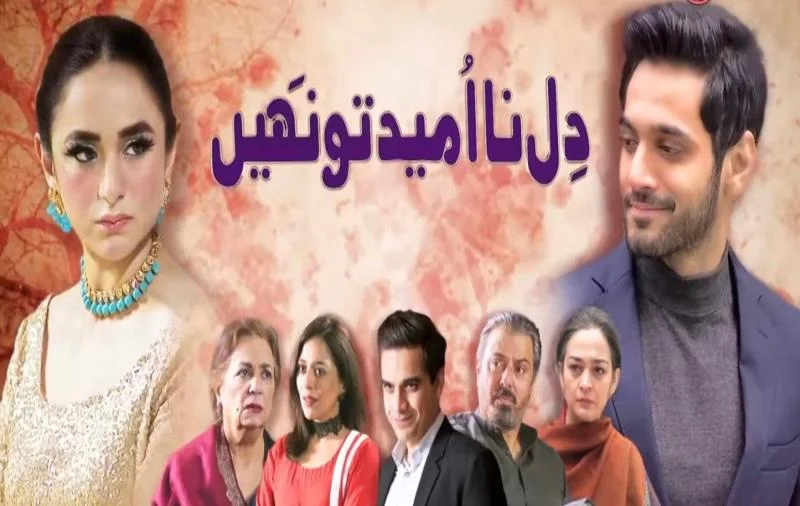 Pakistani Dramas Love & Attention