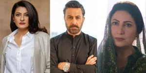 Senior Pakistani Actors Currently Dramas