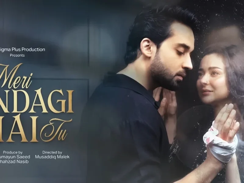 ARY Digital Unveils Teaser of Meri Zindagi Hai Tu Starring Bilal Abbas & Hania Aamir