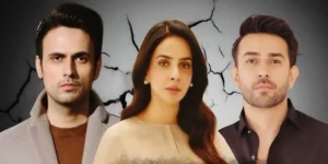 Upcoming HUM TV Drama Moamma Details