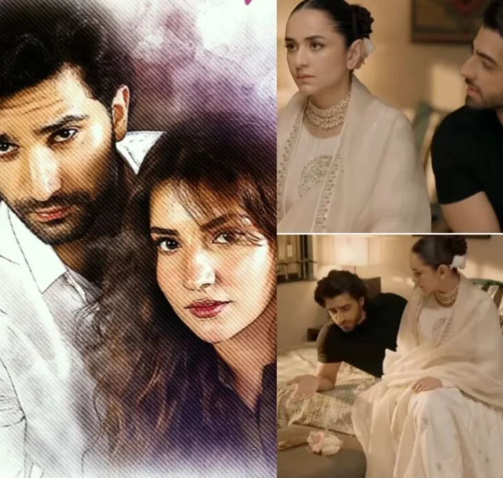 List of Best Pakistani Dramas of 2025